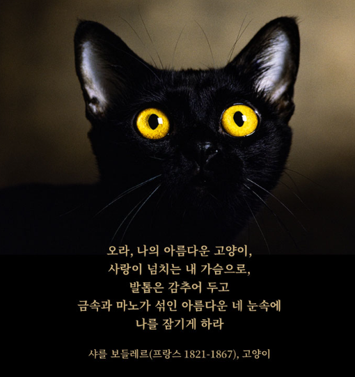 https://image.mom-mom.net/eyJidWNrZXQiOiJtb21tb20tbW9tc3RvdWNoIiwia2V5IjoicGxhY2VzLzZhMGU3MDRlOGIyZWZhNThjYmZmZmIzMy5wbmciLCJlZGl0cyI6eyJyZXNpemUiOnsid2lkdGgiOjQ3MSwiaGVpZ2h0Ijo1MDB9fX0=