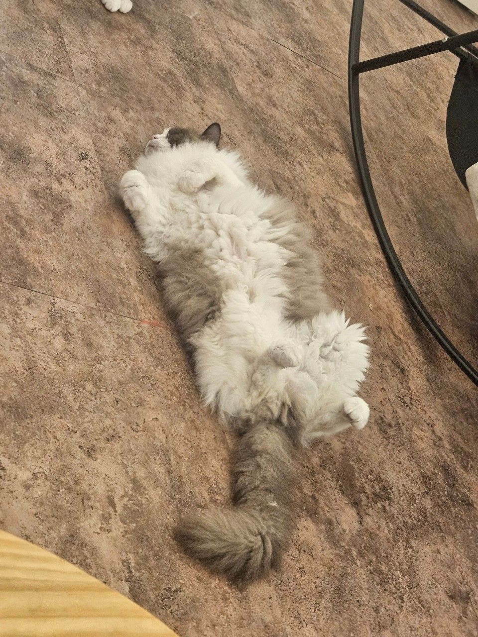 쥬데이
