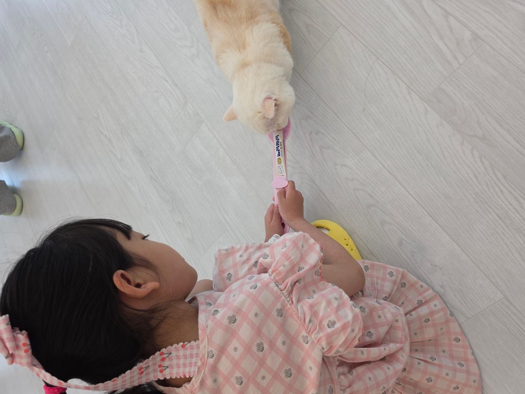 https://image.mom-mom.net/eyJidWNrZXQiOiJtb21tb20tbW9tc3RvdWNoIiwia2V5IjoicGxhY2VzLzZhMTNkZGNkMzcyNWIxZjRhZDE2M2UyNy5qcGciLCJlZGl0cyI6eyJyZXNpemUiOnsid2lkdGgiOjEwODAsIndpdGhvdXRFbmxhcmdlbWVudCI6dHJ1ZX19fQ==