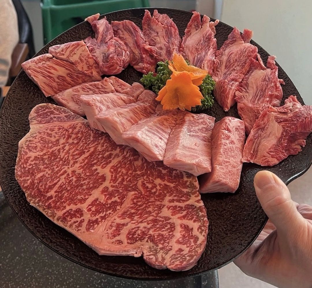 일품참진한우