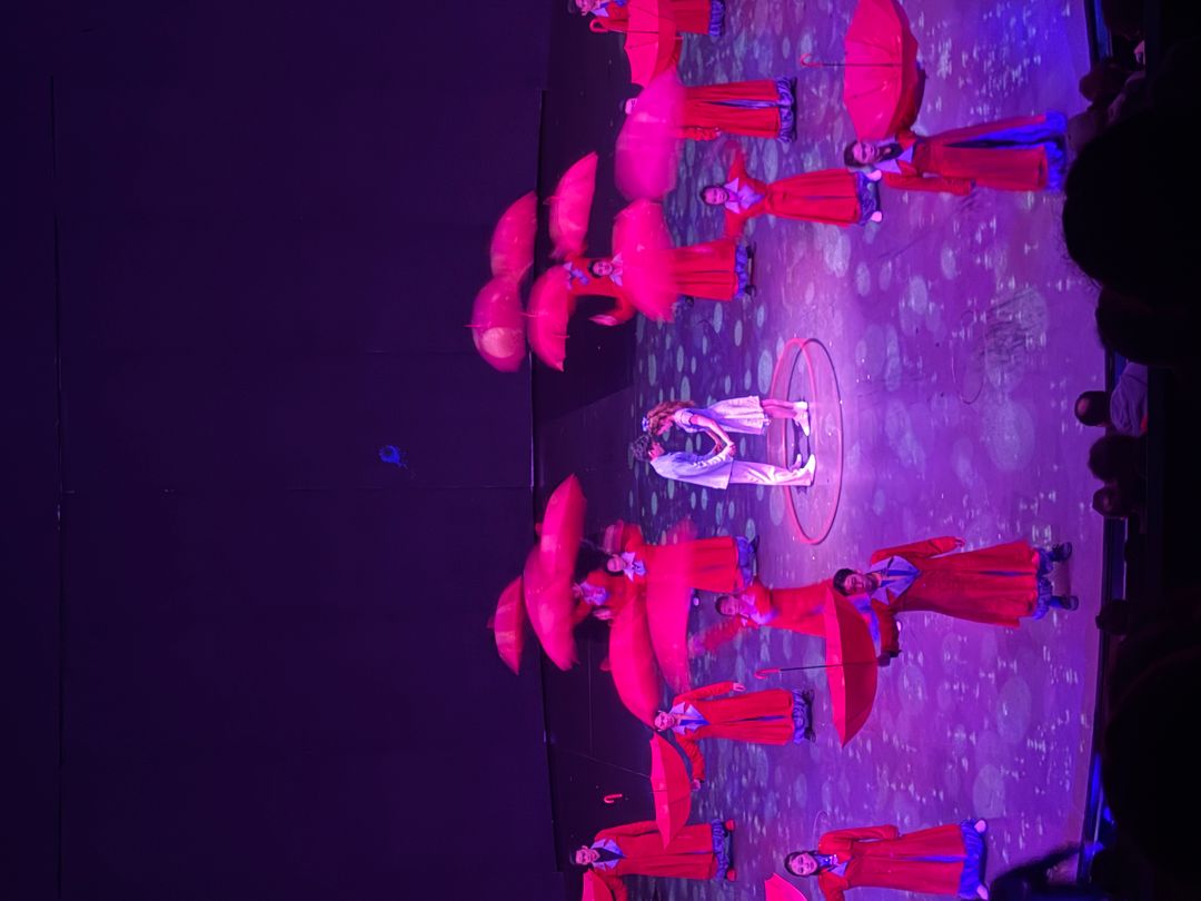 상하이 마시청 서커스