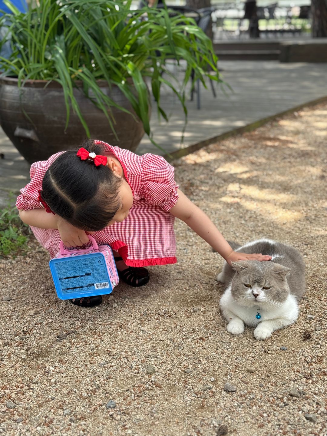 https://image.mom-mom.net/eyJidWNrZXQiOiJtb21tb20tbW9tc3RvdWNoIiwia2V5IjoicGxhY2VzLzZhMTkyZjk5Y2Y1ZWNkOWFmMTk2Yjc1Ny5qcGVnIiwiZWRpdHMiOnsicmVzaXplIjp7IndpZHRoIjozNzUsImhlaWdodCI6NTAwfX19