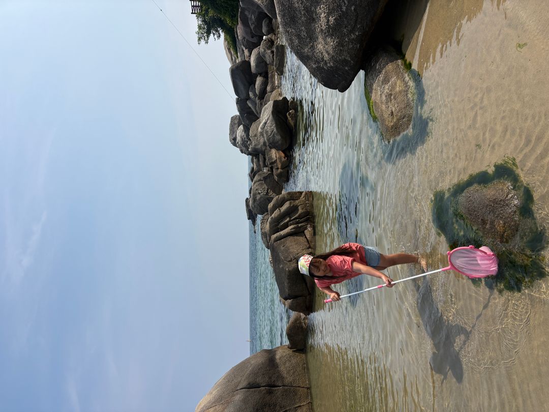 https://image.mom-mom.net/eyJidWNrZXQiOiJtb21tb20tbW9tc3RvdWNoIiwia2V5IjoicGxhY2VzLzZhMzNmM2EzYzFjOTI2YTcyMThjZWE0Ni5qcGVnIiwiZWRpdHMiOnsicmVzaXplIjp7IndpZHRoIjo1MDAsImhlaWdodCI6Mzc1fX19
