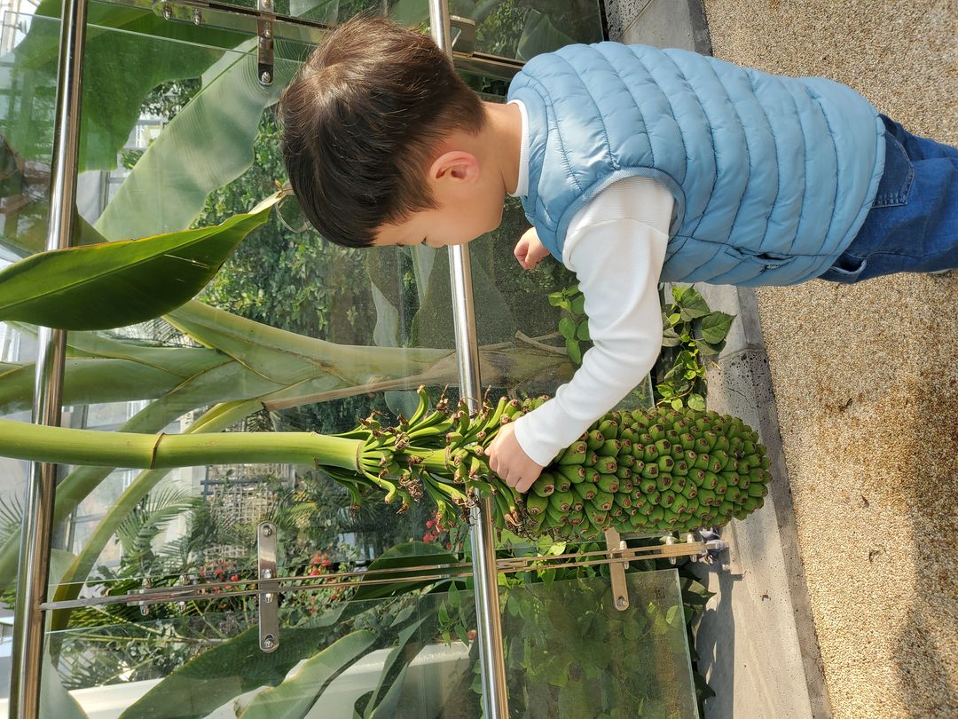 과일나라테마공원
