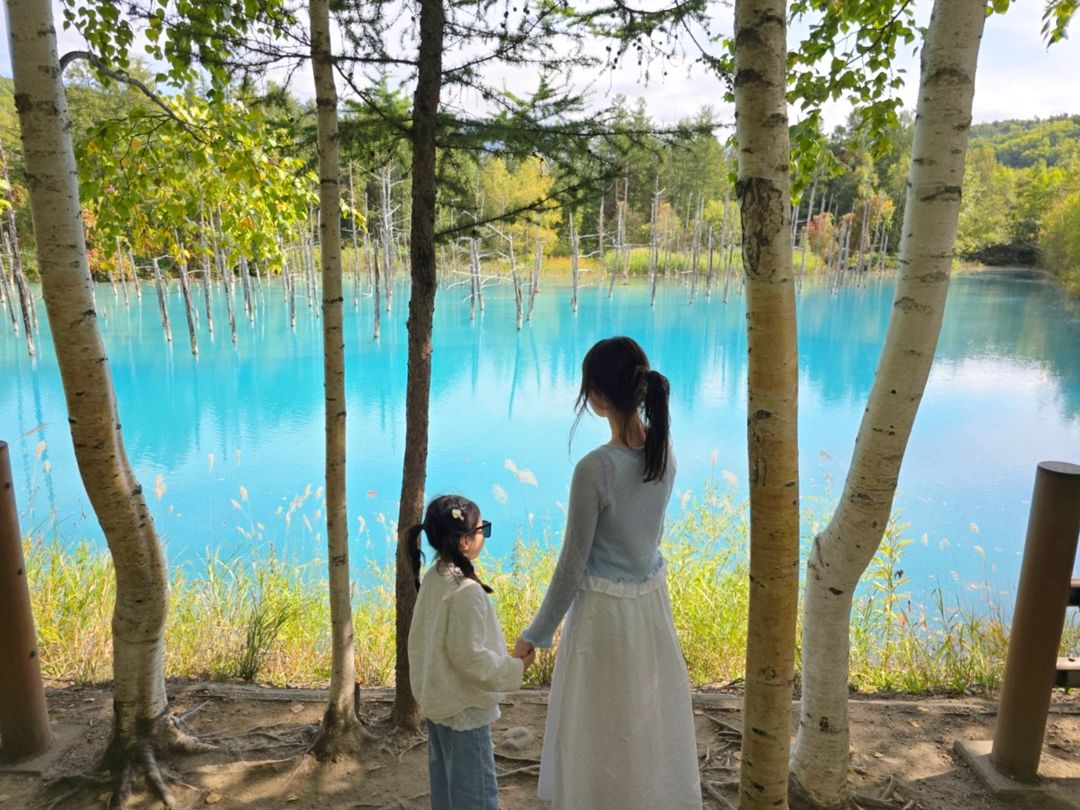 청의 호수