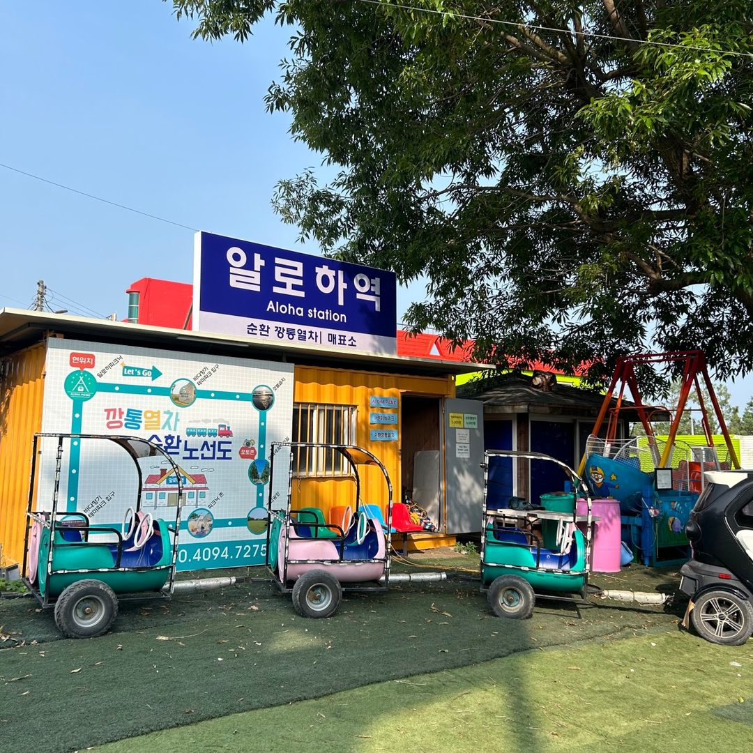 함초당&알로하피크닉