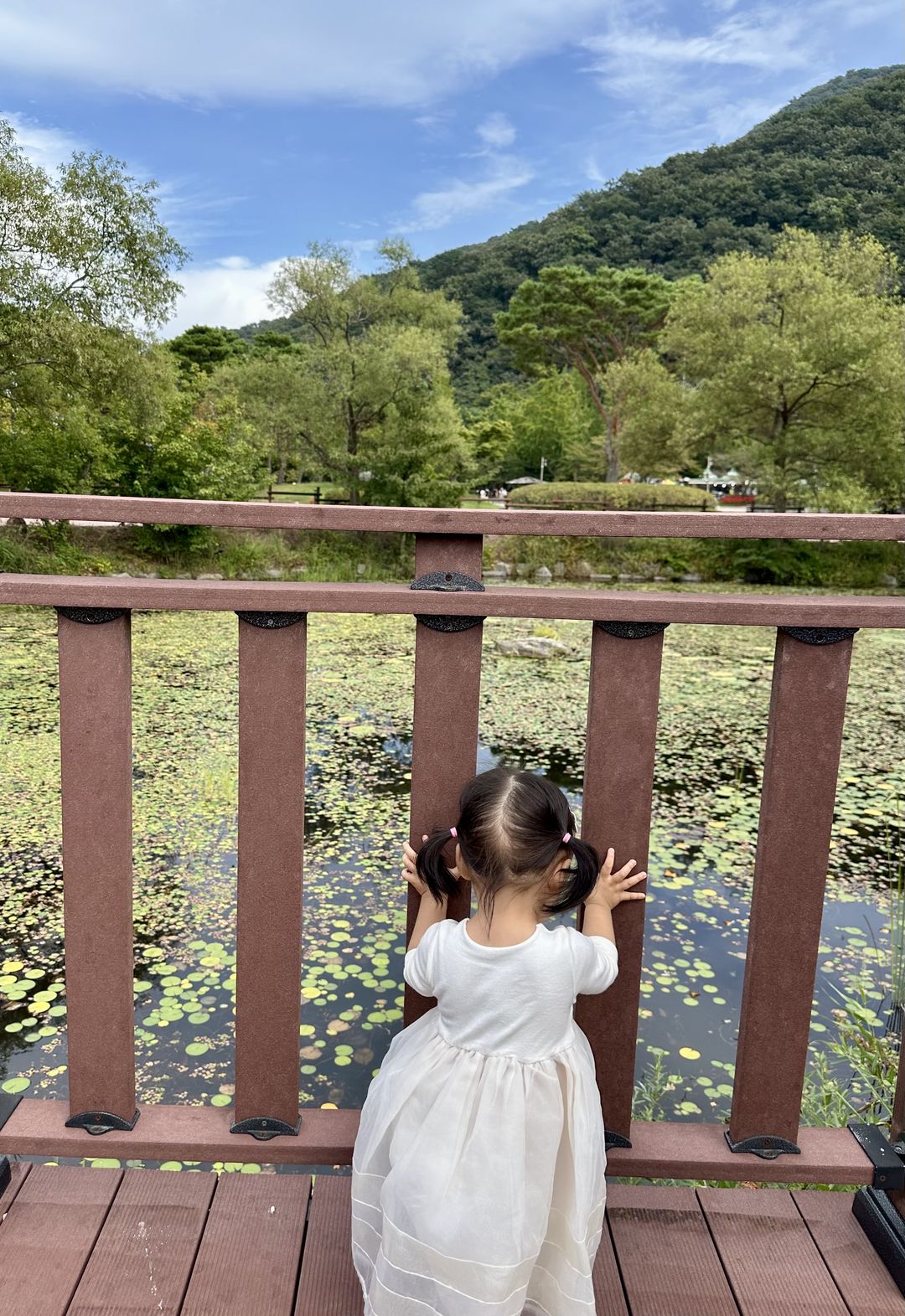 https://image.mom-mom.net/eyJidWNrZXQiOiJtb21tb20tbW9tc3RvdWNoIiwia2V5IjoicGxhY2VzLzZhYjUxN2Q0NTE5ZjIxYWM4YWE3YzVjNi5qcGciLCJlZGl0cyI6eyJyZXNpemUiOnsid2lkdGgiOjM0MywiaGVpZ2h0Ijo1MDB9fX0=