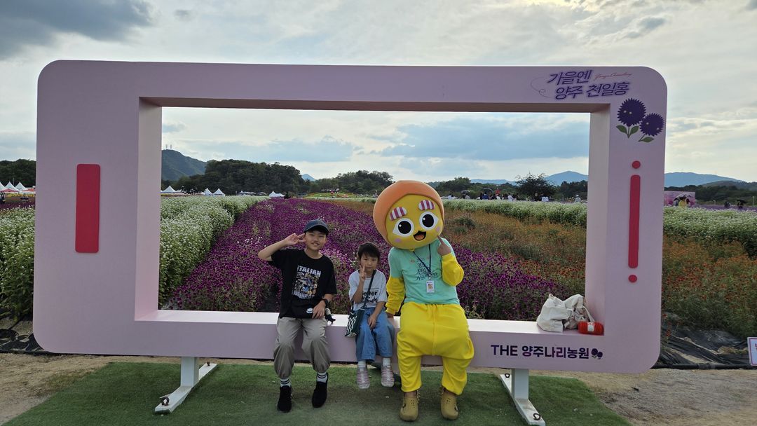 <행사> 천일홍 가을페스타(~ 26/10/18)