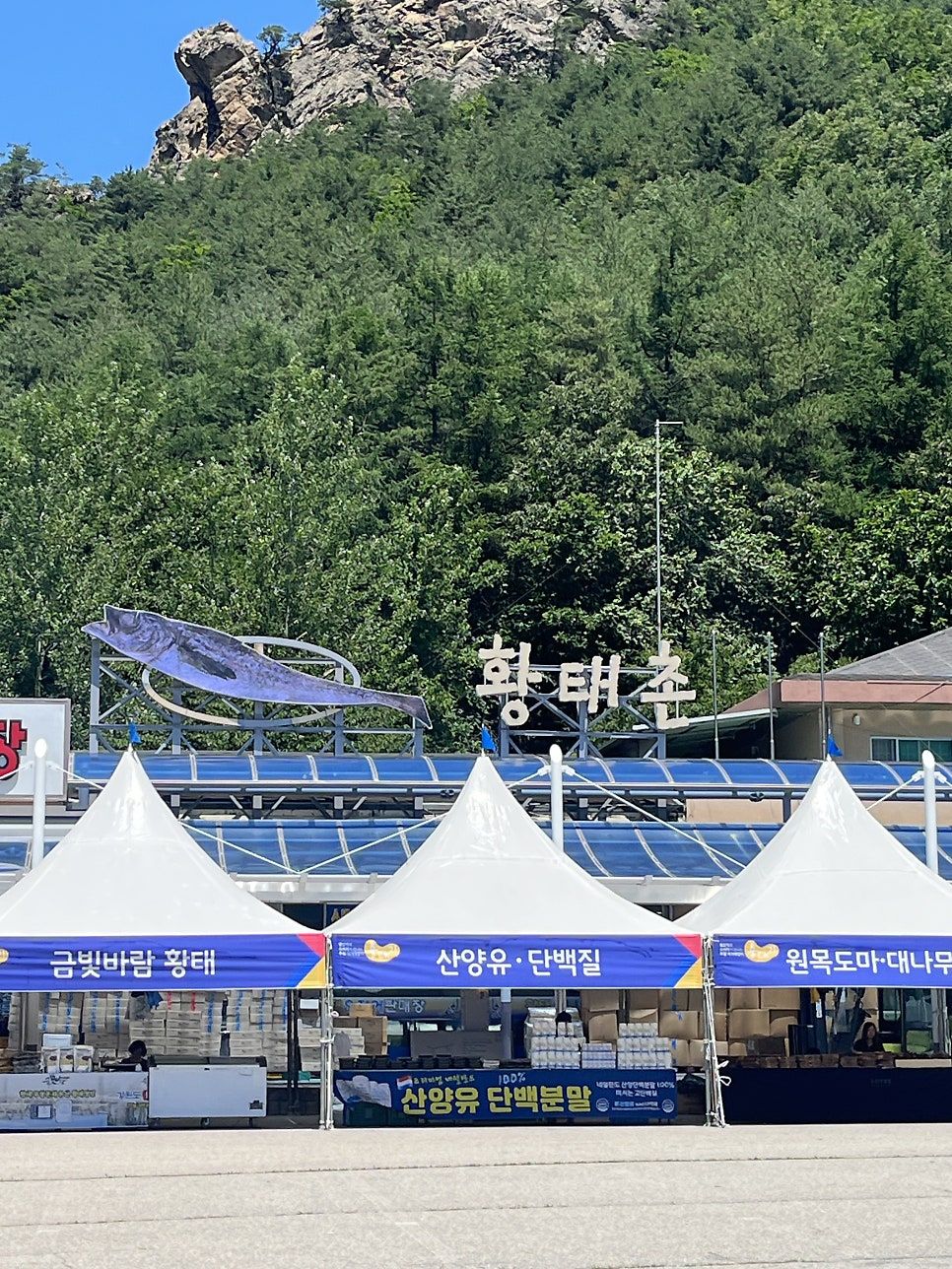 황태마을