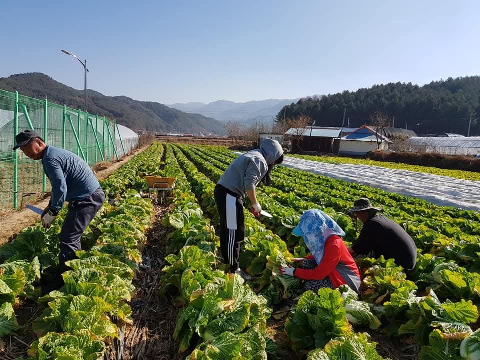 삼생마을
