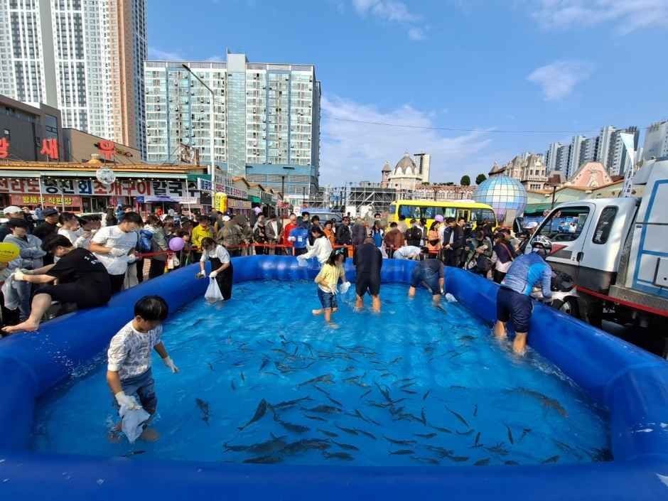 <축제> 시흥월곶포구축제 (26/10/09 ~ 26/10/11)