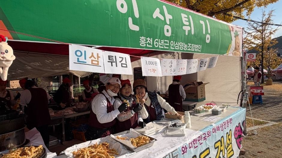 <축제> 홍천 인삼한우 명품축제 (26/10/08 ~ 26/10/11)