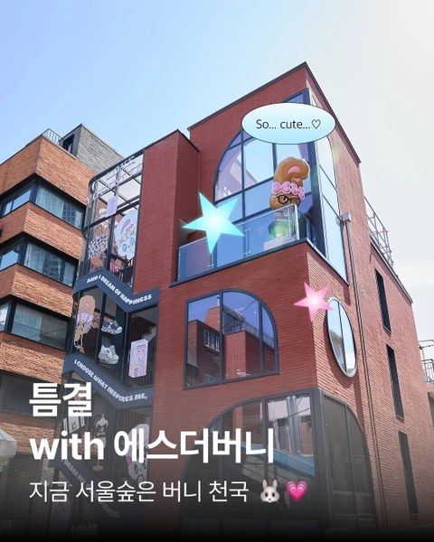 <팝업> 틈결 플래그쉽 with 에스더버니 팝업 (26/05/01 ~ 26/10/31)