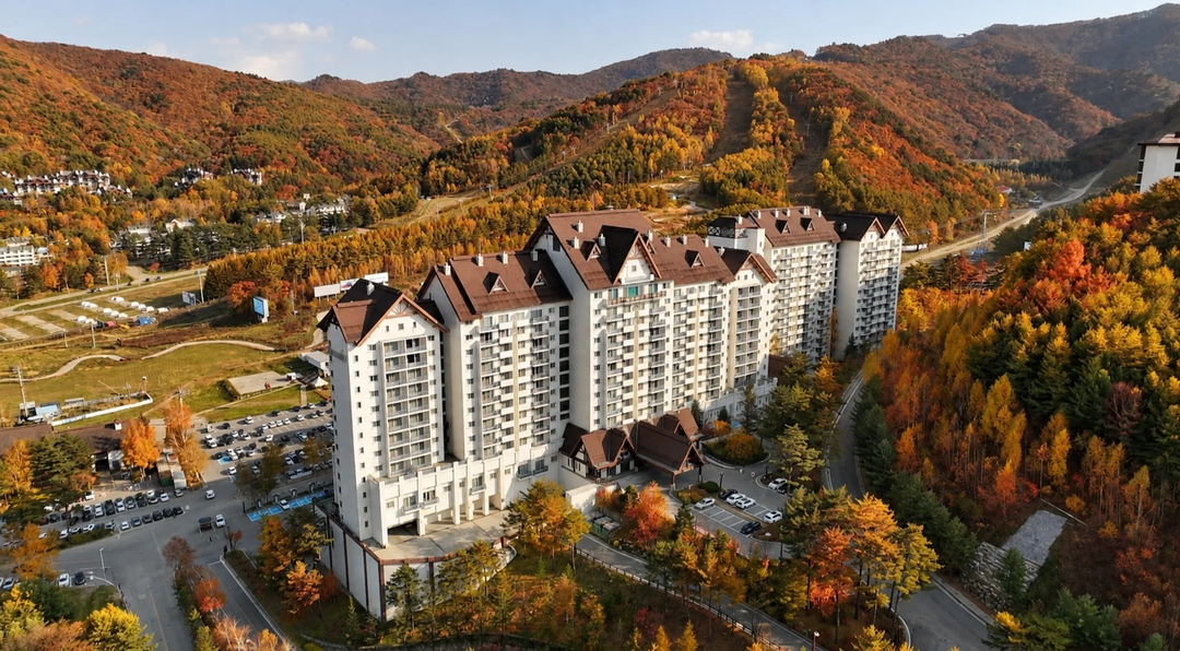 서울 근교 단풍여행🍁