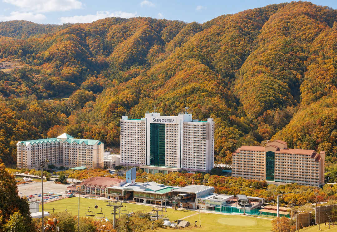 비발디파크 단독