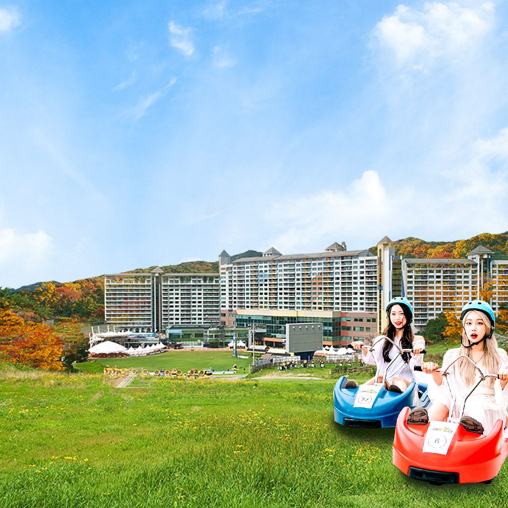 웰리힐리파크