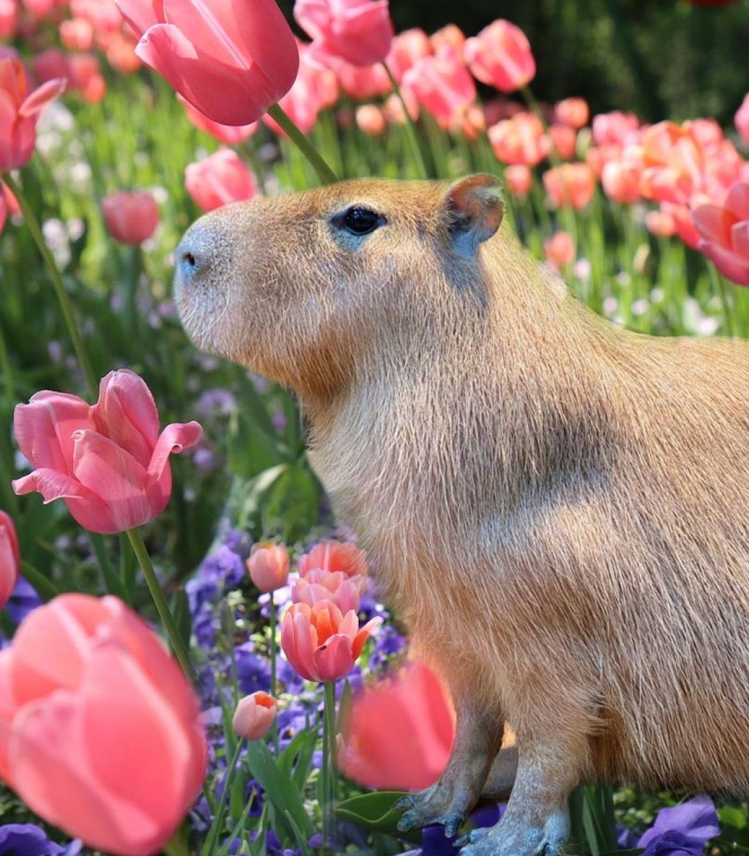 대구 네이처파크