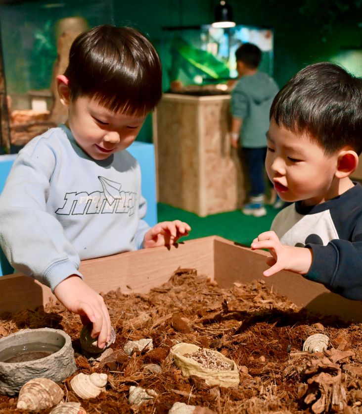 와일드벅스 곤충탐험대