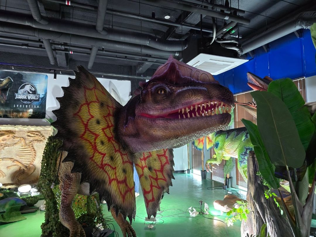 공룡월드 전국 5개 지점